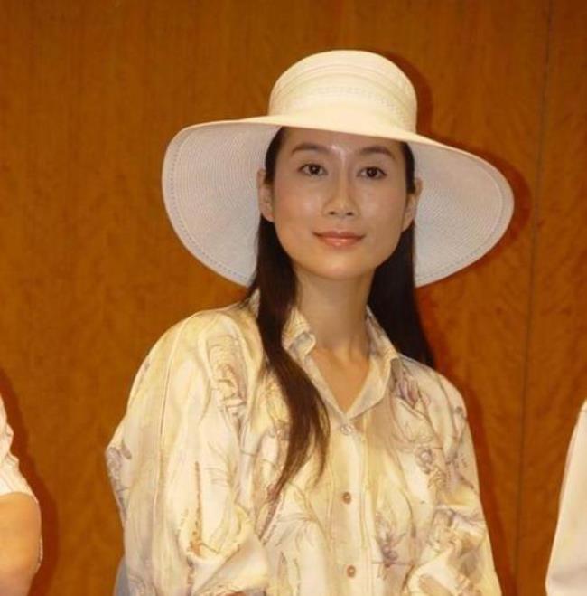 姐妹电视剧温峥嵘演的