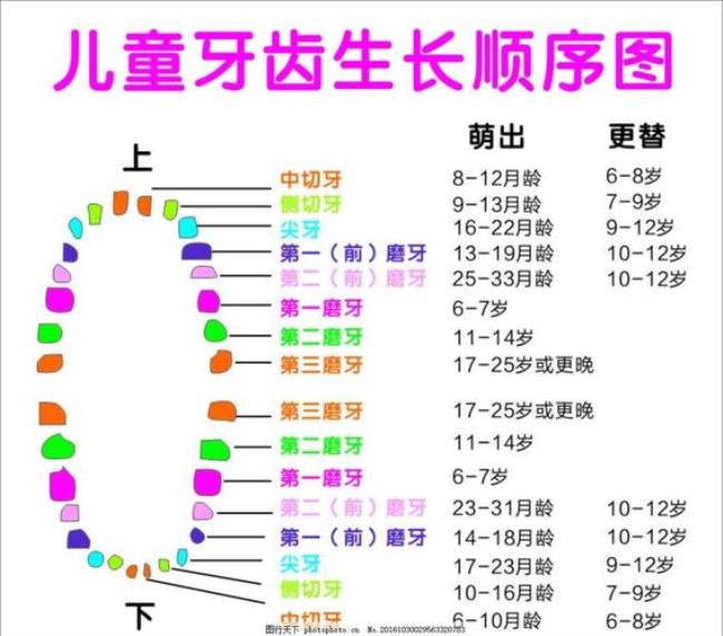 儿童换牙是什么时候