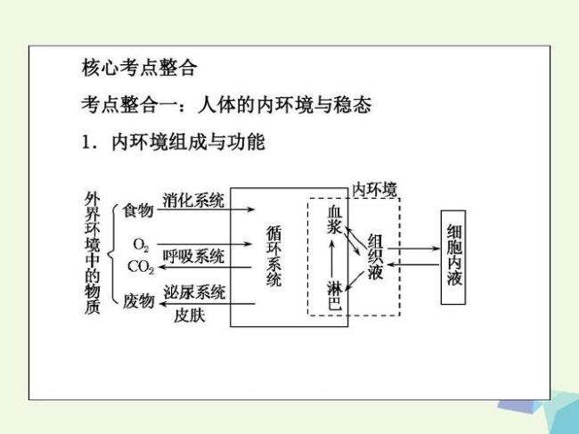 内环境稳态的主要组成部分