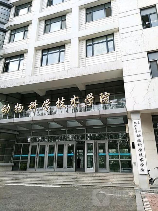 黑龙江东北农业大学什么区