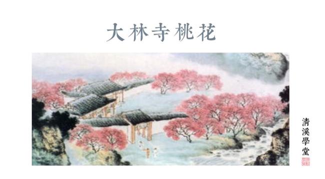 白居易写大林寺桃花经历了什么