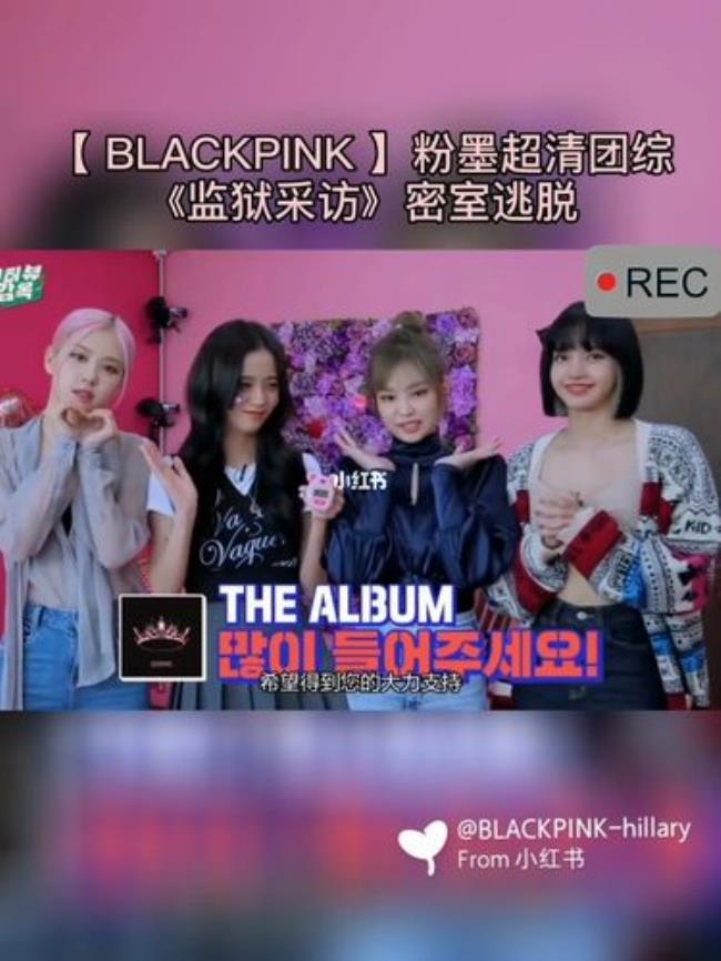 blackpink团综顺序