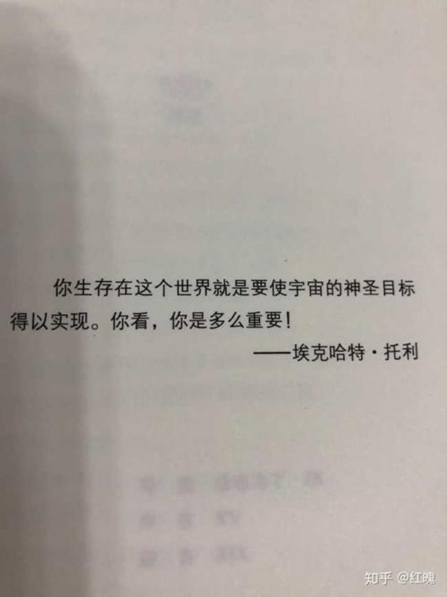 追寻是什么意思