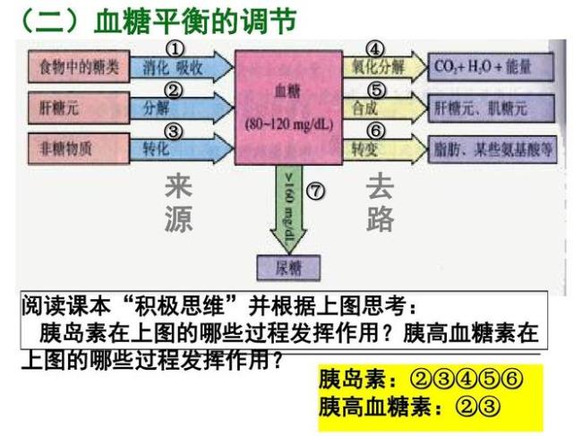 高中生物调节方式