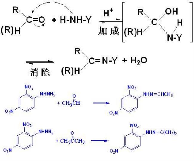 乙酸可以亲核加成吗