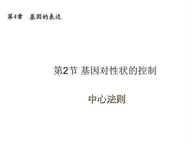 请简述中心法则是什么