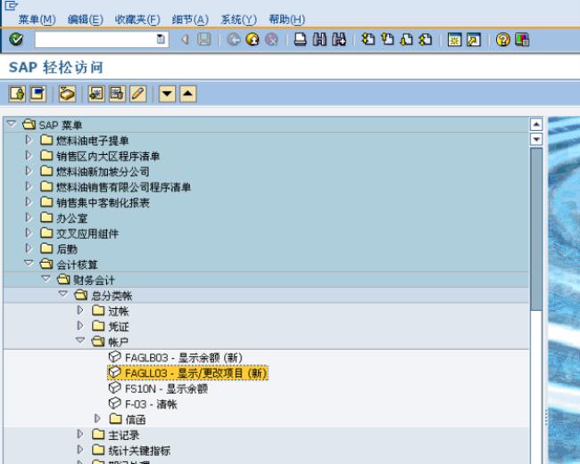SAP中怎么查看科目余额表