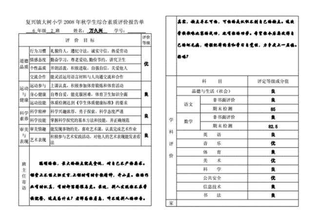 综合素质评价报告是什么