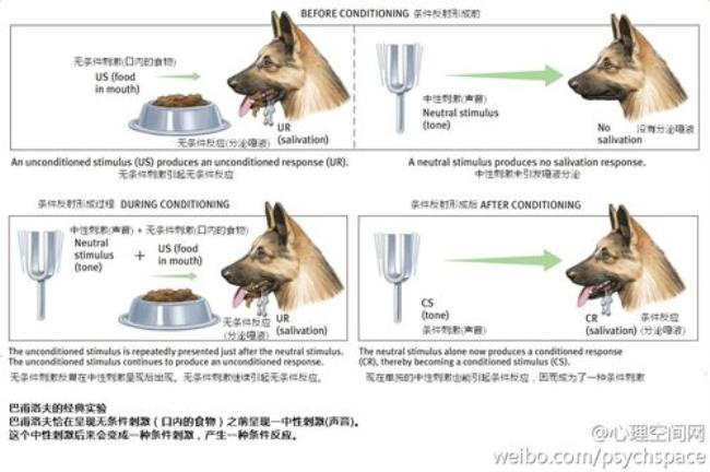 条件反射包括