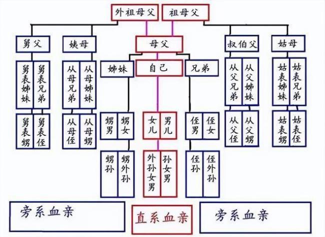 兄弟姐妹的遗传信息相同吗