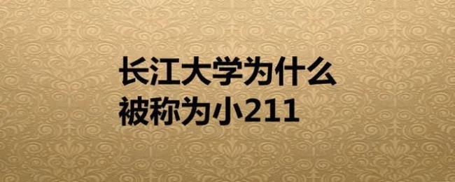 长江大学是小211工程大学吗