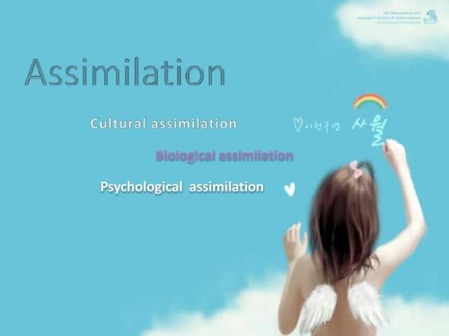 assimilation同化例子