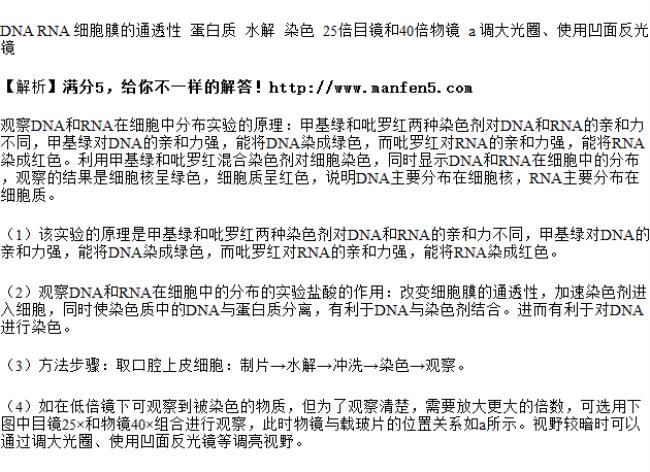 DNA和RNA统称叫做什么