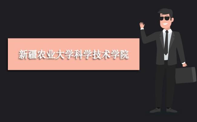 新疆农业大学科学技术学院好吗