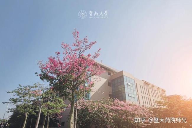 暨南大学江门分院怎么样