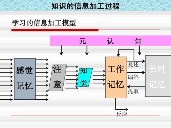 信息加工在教育中的应用