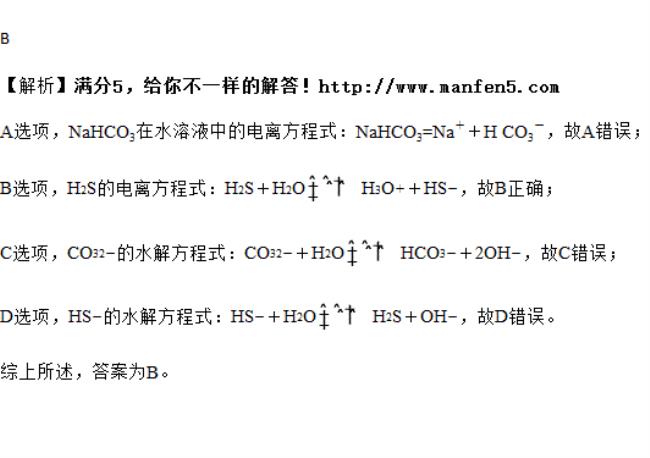 丙酮酸水解方程式