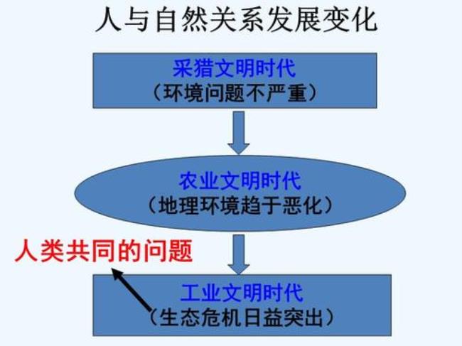 人与自然规律关系