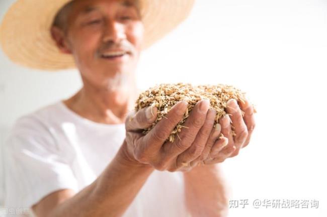 粮食可以储存多久