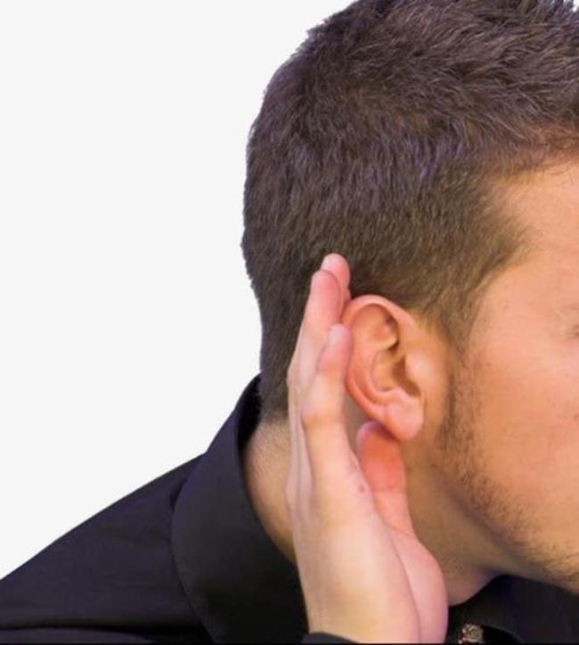人的耳朵为什么能听到声音