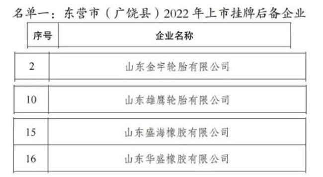 东营上市公司有哪些