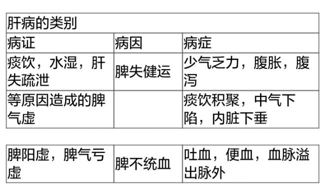 脾的作用与功能