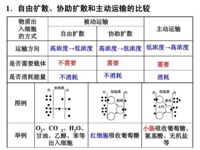 甘油通过细胞膜的运输方式