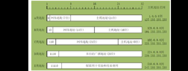 ip地址是什么样的