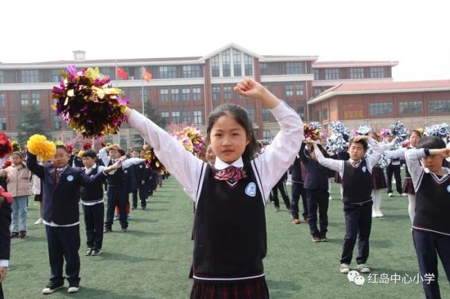 青岛高新区私立小学有哪些