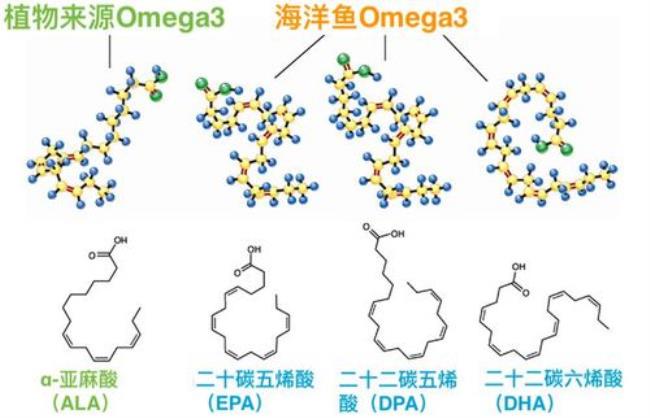 二十碳四烯酸总脂肪酸什么意思