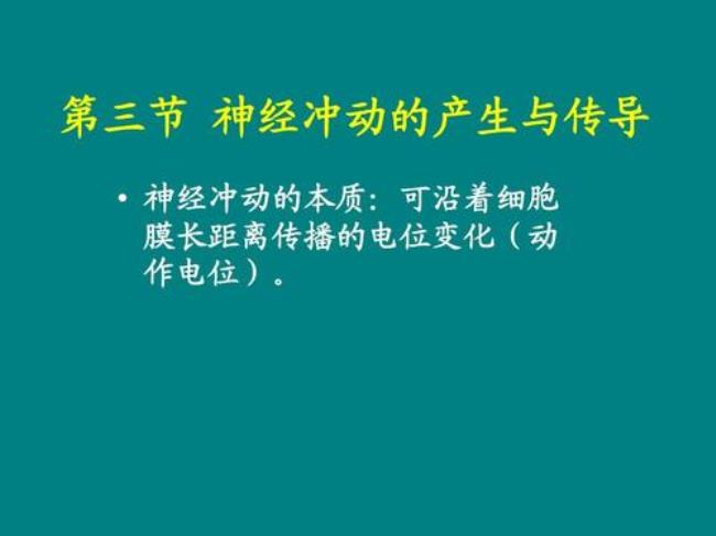 动作电位的本质是什么