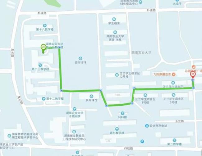 湖南农业大学具体在什么位置