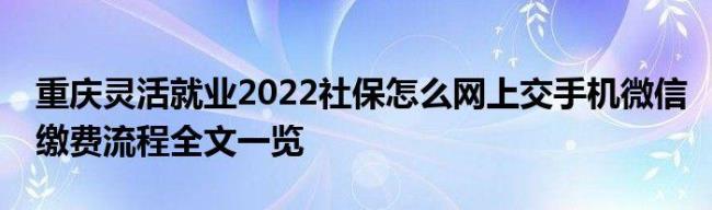 濮阳灵活就业医保如何补缴