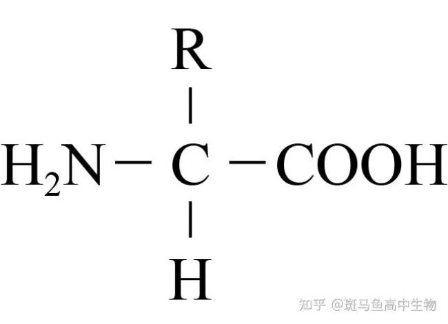 结构通式是什么