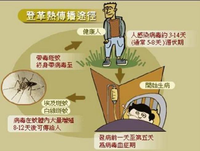 e滁州个人住房公积金查询