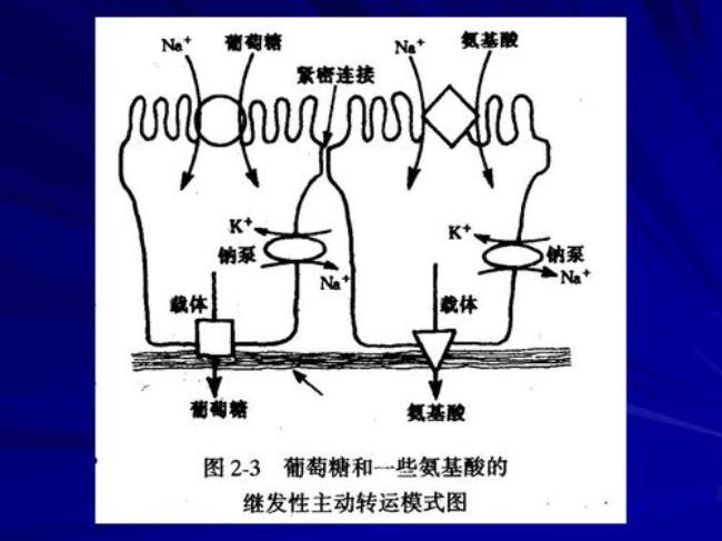 主动运转可分为哪几种