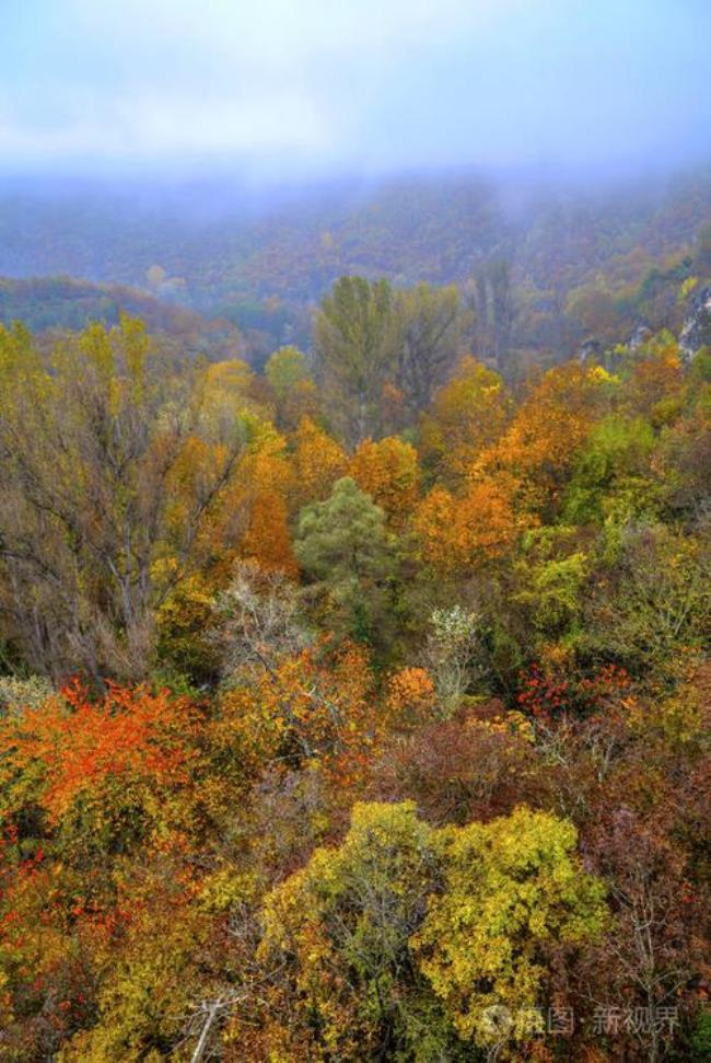 为什么说秋天的山是彩色的