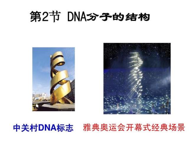 dna分子的物理性质