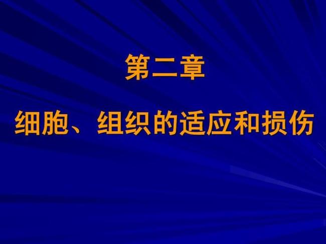 细胞组织的概念