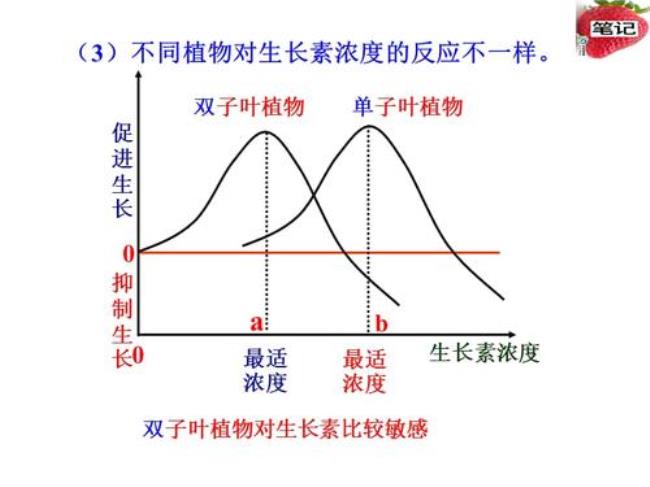 为什么生长素具有双重效应