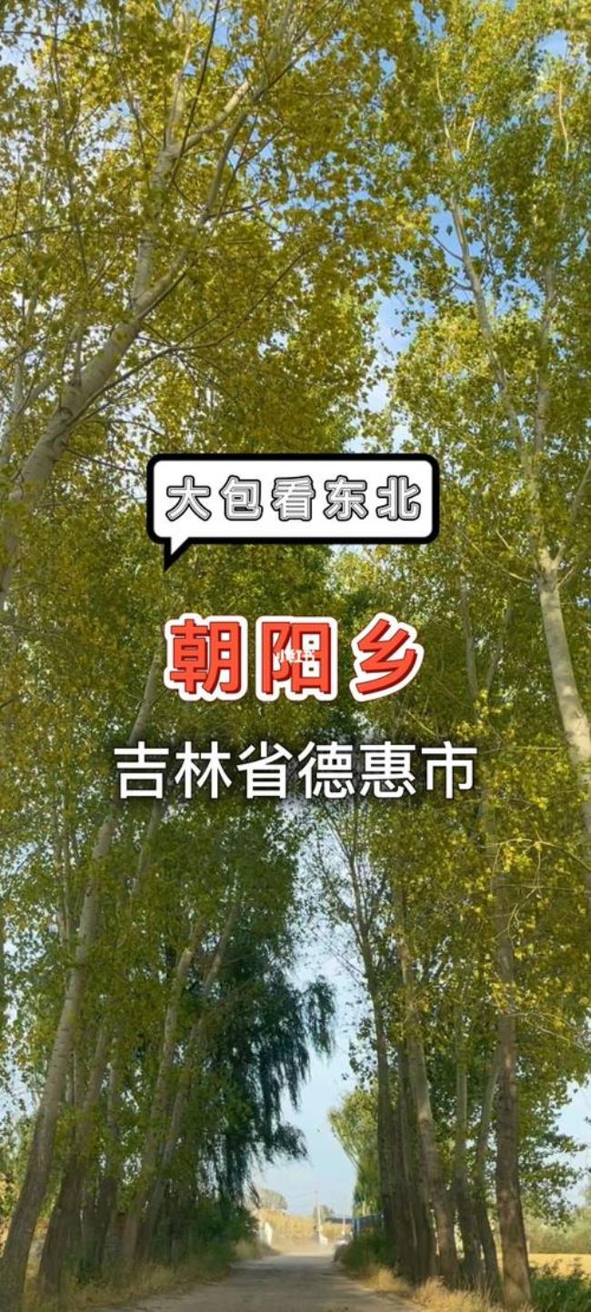 吉林省德惠市有多少人口