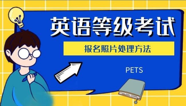 pets报名条件和费用