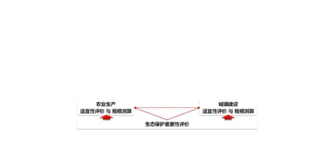 业务决策落地方法