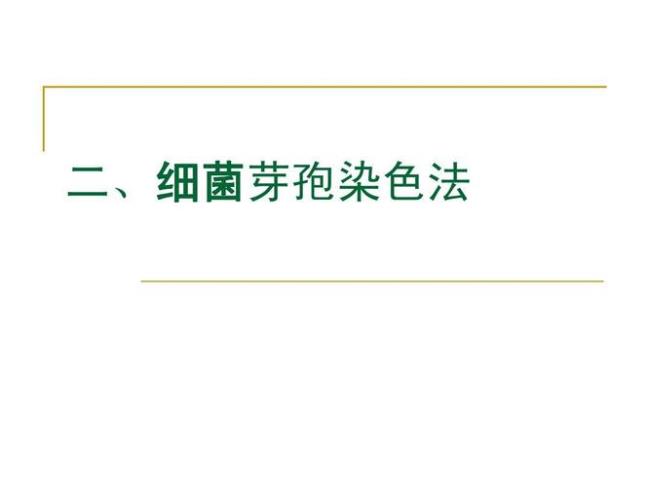 革兰氏染色颜色