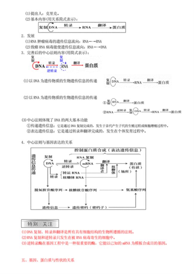 dna的复制和转录有什么区别