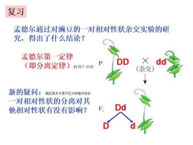 孟德尔假说演绎法