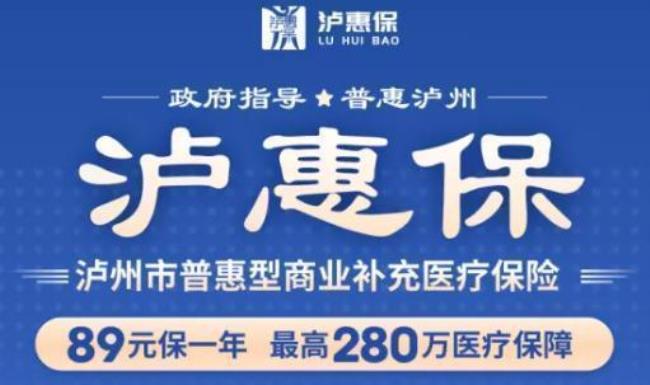 2022泸州医疗保险怎么在网上交费