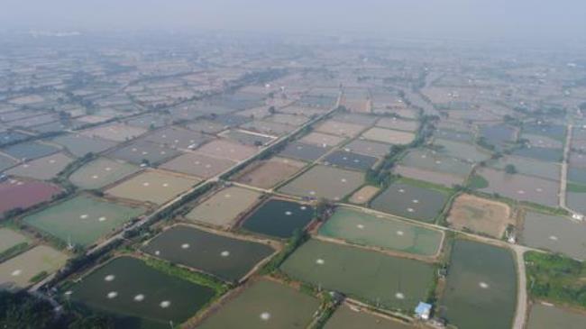 珠江三角洲基塘农业形成时间