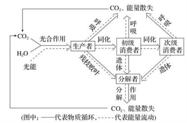 化能合成和光合作用有什么不同