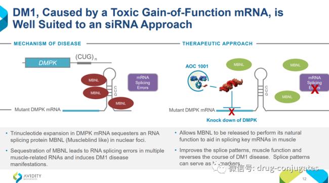 RNA承担的角色是